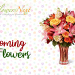 Send flowers to Poland