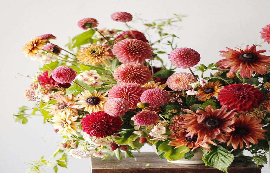Using Flowers to Curate a Mood and Decorate your Home